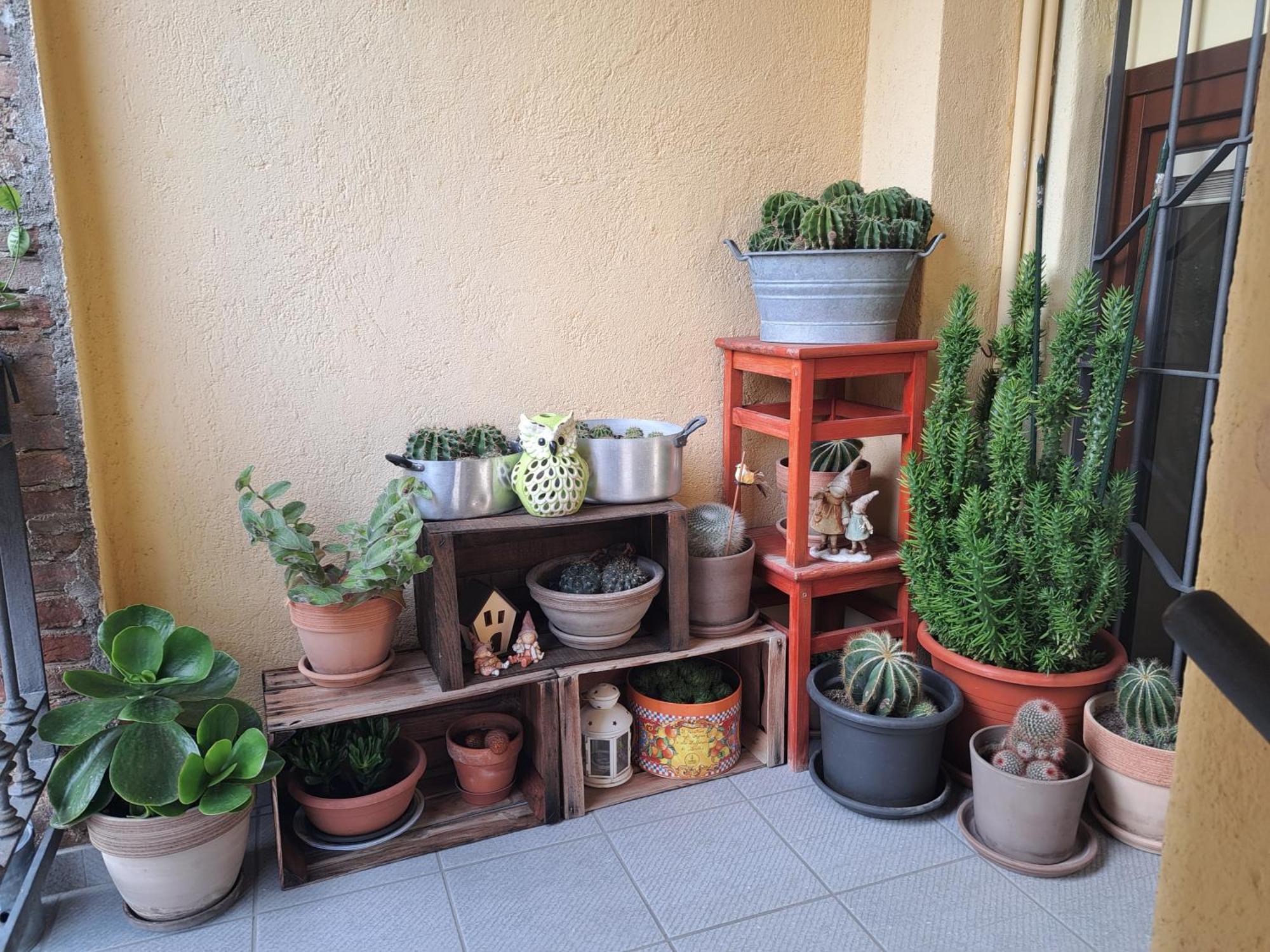 Appartamento Casa Poldo Cantello Esterno foto
